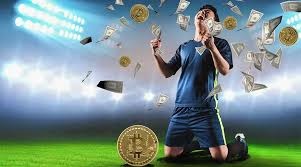 Бонусы Казино 7бит
